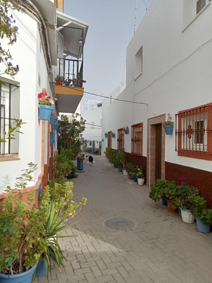 Casa Jurel Daire Conil De La Frontera Dış mekan fotoğraf